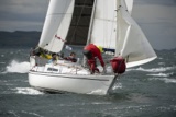 hot toddy 3199y whyw18 tue gjmc 8195w